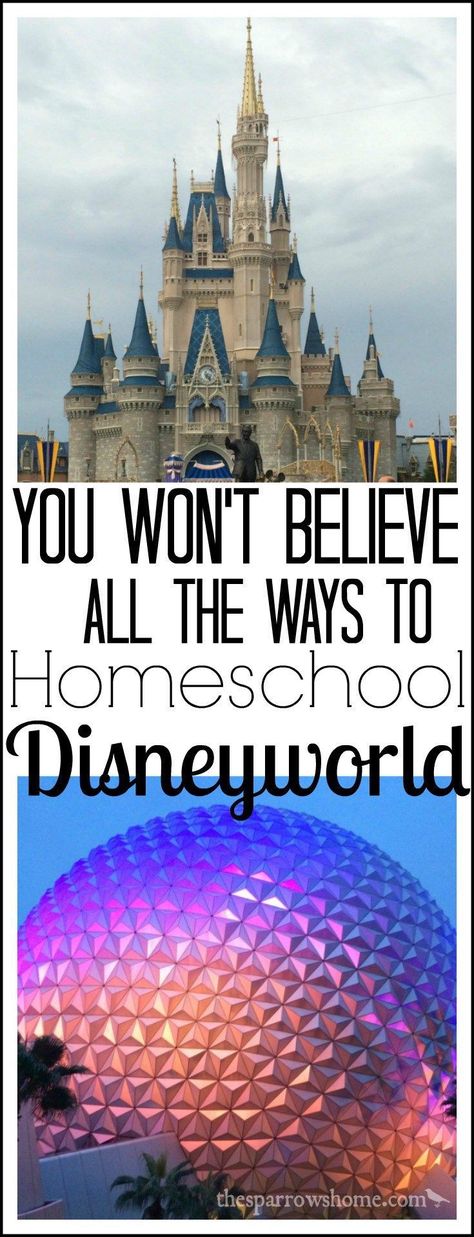 Disney Lessons, Disney Activities, Homeschool Field Trips, Homeschool Kids, Homeschool History, Disney World Planning, Walt Disney World Vacations, Disney Planning, Disney World Tips And Tricks