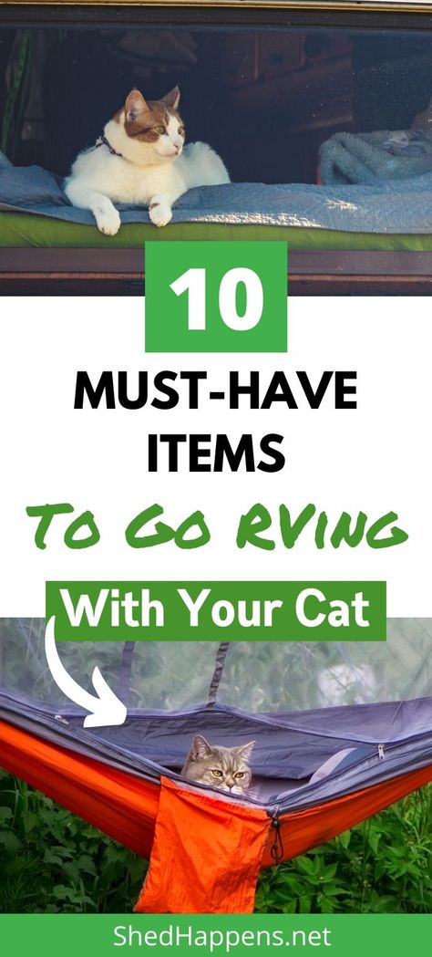 Rv Traveling With Cats, Cat Rv Ideas, Cats And Rv Living, Rv Camping With Cats, Rv Life With Cats, Camping With Cats Tips, Rv Cat Ideas, Camper Cat Ideas, Rv Cat Tree