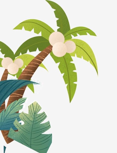 Coconut Leaves Drawing, Palm Tree With Coconut, Kelapa Muda Aesthetic, Coconut Illustration Design, Nescafe Packaging, Coconut Tree Illustration, Coconut Packaging, Coconut Tree Png, Coconut Illustration