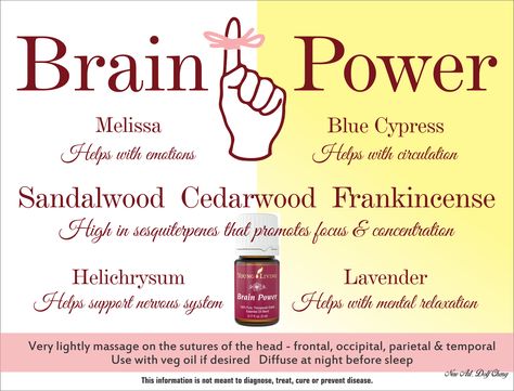 Brain power essential oil. Focus Study, Glasgow Coma Scale, Essential Oils And Their Uses, Oils And Their Uses, Brain Exercises, Use Your Brain, Rewire Your Brain, Brain Memory, Yl Oils