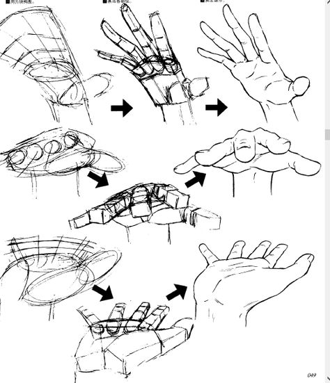 Open palm Open Palm, How To Draw Manga, Free Online Library, Anime Hands, Draw Manga, Hand Palm, Hand Reference, Anatomy Study, Baboon