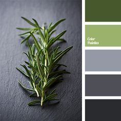 Shades of green and gray will be appropriate when creating interior in the style of high-tech. If you make all the space gray then green that was used for. Apartments Kitchen, Inside House, Green And Gray, House Color, Trendy Living Rooms, Room Paint Colors, Room Color Schemes, Green Colour Palette, Living Room Green