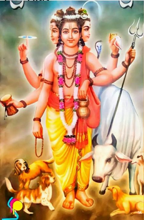 Dattatreya Images, Dattatreya Images Full Hd Wallpaper, Lakshmi Goddess, Ganesh Tattoo, Gurudev Datta, Lakshmi Narayan, Mantra Tattoo, Sai Baba Hd Wallpaper, Rajasthani Art