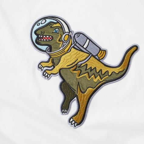 Coach Dinosaur, Nasa, Access Denied, Enamel Pins, Textiles, White