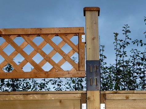 Adding Trellis To Top Of Fence, Trellis On Top Of Fence, Trellis Topped Fence, Adding Lattice To Top Of Fence, Fence Post Extension, Fence Extension Ideas For Dogs, Fence Extenders For Privacy, Fence With Trellis Top, Make Fence Taller