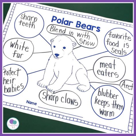 Teach your kindergarten and first grade students all about arctic animals with these polar bear activities. Includes a non fiction powerpoint, writing activities, blubber experiment, worksheets, assessments and more. #polarbears #firstgradewriting #informationalwriting #firstieland P Is For Polar Bear, Polar Bear Activities For Kindergarten, Polar Bear Worksheets Preschool, Polar Bear Activities For Kids, Polar Bear Worksheets, Arctic Animals Kindergarten, Polar Bear Writing, Polar Bears Kindergarten, Blubber Experiment