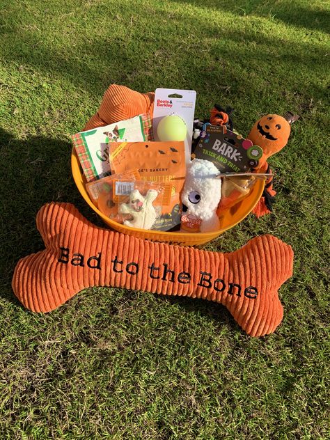 Dog Halloween Gift Basket, Spooky Basket For Dog, Halloween Pet Ideas, Dog Halloween Basket, Dog Spooky Basket, Dog Boo Basket, Spooky Basket Ideas For Boyfriend, Spooky Baskets For Kids, Halloween Treat Baskets