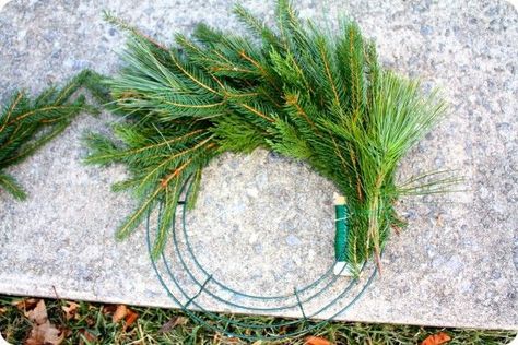 Faux Evergreen Wreath, Real Pine Wreaths, Christmas Wreath Instructions, Making A Real Christmas Wreath, Diy Real Wreath Christmas, Pine Tree Wreath, Real Wreaths Christmas, Making A Wreath With A Wire Frame Christmas, Diy Real Wreath