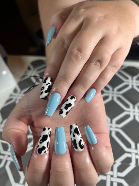 Country Nail Designs, Country Acrylic Nails, Rodeo Nails, Cowboy Nails, Blue And Silver Nails, Designs For Short Nails, Western Nails, Country Nails, Cow Nails