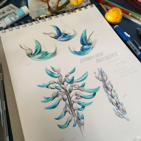 Nature Tattoo Ideas, Jade Vine, Vine Drawing, Flower Tat, Jade Flower, Nature Tattoo, Travel Poster Design, Stephanie Brown, Vine Tattoos