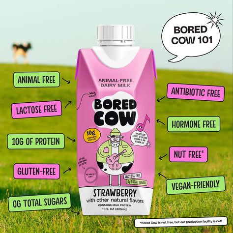 Bored Cow Review: What Is Animal-Free Dairy Milk + Should You Try It? Review Ideas Design, Cow Branding, Milk Branding, Milk Poster, Reviews Design, Dairy Brands, Milk Design, Review Design, Milk Brands