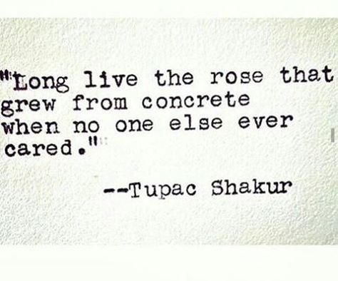 "the rose that grew from concrete when no one else ever cared" -Tupac Shakur Tupac Poems, Tupac Shakur Quotes, 2pac Quotes, Tupac Quotes, Tupac Pictures, Respect Quotes, Rapper Quotes, Lost Souls, Social Art