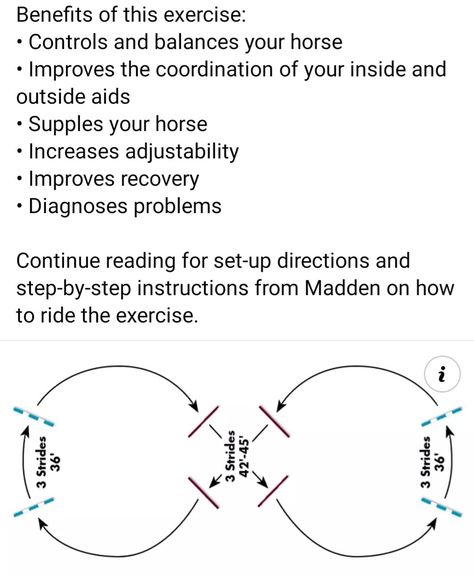 Flat Work Exercises For Horses, Equestrian Jumping Exercises, Horse Jumping Exercises, Riding Ideas, Equestrian Jumping, Horseback Riding Lessons, Horse Training Exercises, Horse Lessons, Horse Exercises