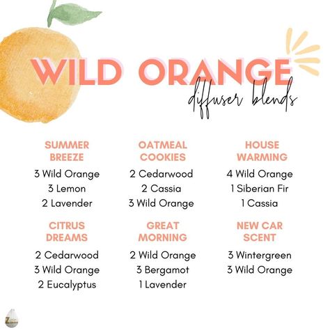 Hey Lovelies, sharing with you 6 doTERRA Wild Orange diffuser blends! 🍊 Try these blends and let the vibrant aroma of Wild Orange uplift your mood and energize your day! 🍃✨ Which blend are you excited to try first? Let us know in the comments! 👇 Discover more doTERRA oils now! 🌿🔗https://bit.ly/3BPYbPo Orange Diffuser Blends, Doterra Wild Orange, Doterra Oils Recipes, Scentsy Oils, Wild Orange Essential Oil, Yl Essential Oils, Wild Orange, Essential Oil Diffuser Blends, Oil Diffuser Blends