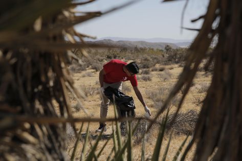 A land trust takes ownership or authority over a property at the request of its owner, often for tax and privacy purposes but with possible downsides. Accredited Investor, Trust Words, Intentional Community, Property Owner, Land Trust, Investment Companies, Orlando Resorts, Land Use, Retirement Community