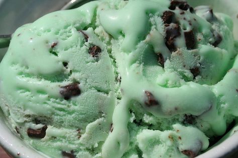 Best Kombucha, Kombucha Flavors, Mint Chocolate Ice Cream, Green Ice Cream, Mint Chip Ice Cream, Mint Oreo, Oreo Ice Cream, Mint Chocolate Chip Ice Cream, Mint Ice Cream