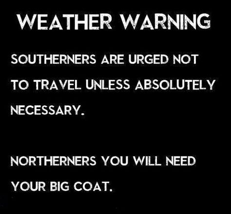 Weather warning: Southerners are urged not to travel unless absolutely necessary. Northerners, you sill need your big coat. Star Wars Tree, Cold Weather Memes, Weather Jokes, Wicket Ewok, Cold Weather Quotes, Winter Humor, Weather Memes, Tree Village, The Lying Detective