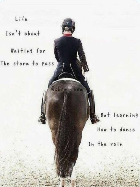 Achievement Board, Equine Quotes, Charlotte Dujardin, Horse Quote, Horse Memes, Inspirational Horse Quotes, Horse Riding Quotes, Equestrian Quotes, Riding Quotes