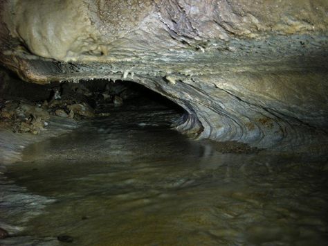 Oregon Caves, Redwood Forest California, Future Cyberpunk, Oregon Bucket List, Redwood National And State Parks, Travel By Car, Things To Do In Oregon, Mount St Helens, Explore Oregon