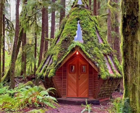 House Design Small Spaces, Cool Cabins, Bamboo House Design, Forest Cabin, Bamboo House, Farmhouse Barndominium, Cabin Living, Tiny House Cabin, Cabin In The Woods