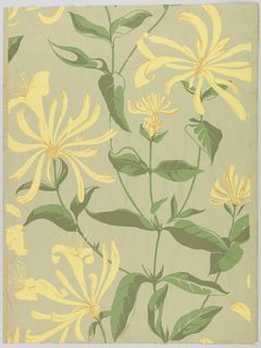 Tattoo Honeysuckle, Green Yellow Art, Honeysuckle Flowers, Neutral Green, Cooper Hewitt, Honeysuckle Flower, Green Ground, Textile Pattern Design, Pastel Pink Aesthetic