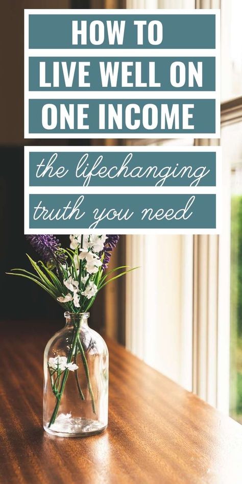 One Income Family Tips, How To Live Off One Income, Living On One Income, Single Income Family, Mental Improvement, Frugal Kitchen, One Income Family, Pay Off Mortgage Early, Provident Living