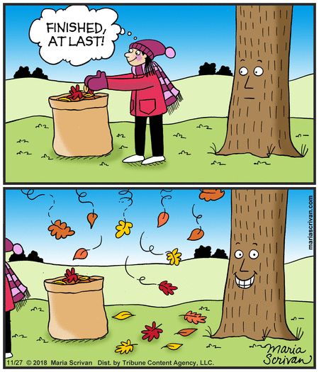 When you think you've gotten all the leaves, think again. | Read more from Half Full #comics on GoComics.com | #autumn #fall #leaves November Jokes, September Pictures, Jesus Kingdom, Fall November, Holiday Jokes, Raking Leaves, Cyanide And Happiness, Holiday Cartoon, The Odd Ones Out