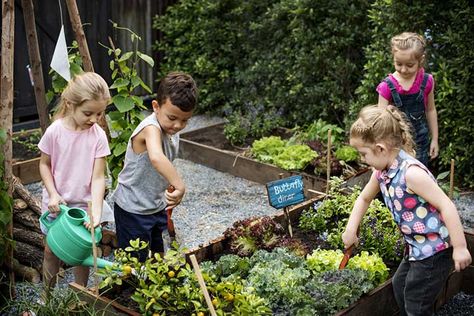 Waldorf Garden, Service Learning Projects, Farm School, Eco Garden, Vegetable Farming, Homeschool Schedule, School Garden, Fairy Garden Diy, Food Garden