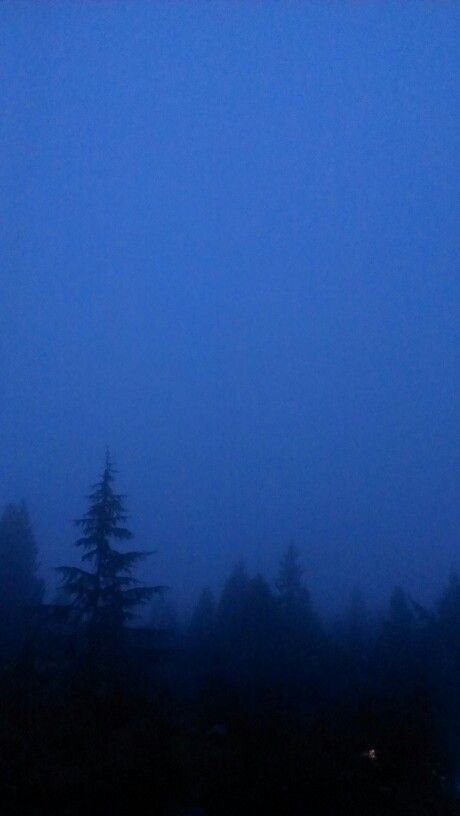 Blue Fog Aesthetic, Corecore Wallpaper, Dark Blue Forest, Fog Aesthetic, Blue Hour Photography, Blue Aesthetic Dark, Blue Fog, Fog Blue, Snowy Forest