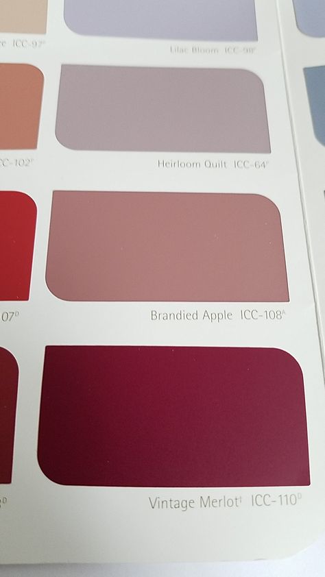 Vintage merlot icc-110 behr paint colour Dream Inspiration, Burgundy Paint, Behr Paint Colors, House Dream, Behr Paint, Paint Colour, Paint Palette, Inspiration Boards, Inspiration Board