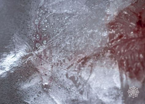 Ice Power Aesthetic, Blood Snow Aesthetique, Winter Fae Aesthetic, Dark Ice Aesthetic, Ice Powers Aesthetic, Blood On Snow, Ice Aesthetic, Ice Photography, Ice Powers