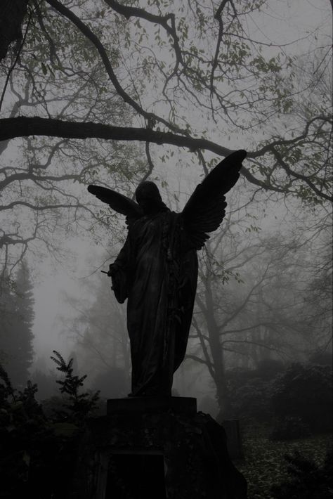 Fallen Angel Statue, Dark Fairytale Aesthetic, Gothic Statue, Cemetery Angels, Cemetery Statues, Gothic Angel, Dark Castle, Dark Fairytale, Castle Aesthetic