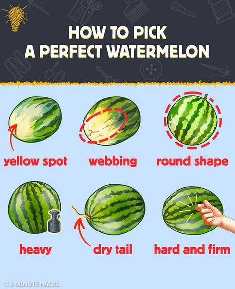 How To Choose Watermelon, Picking Watermelon, Watermelon Facts, Perfect Watermelon, Fruit Facts, Watermelon Benefits, Dry Rub Recipes, Healthy Superfoods, Watermelon Cake