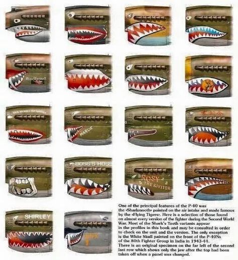 Various shark's teeth markings on P-40's Matco Tools Logo, P40 Warhawk, Model Walk, Shark Mouth, Мотоциклы Cafe Racers, Wwii Airplane, Wwii Fighters, Wwii Plane, Airplane Art