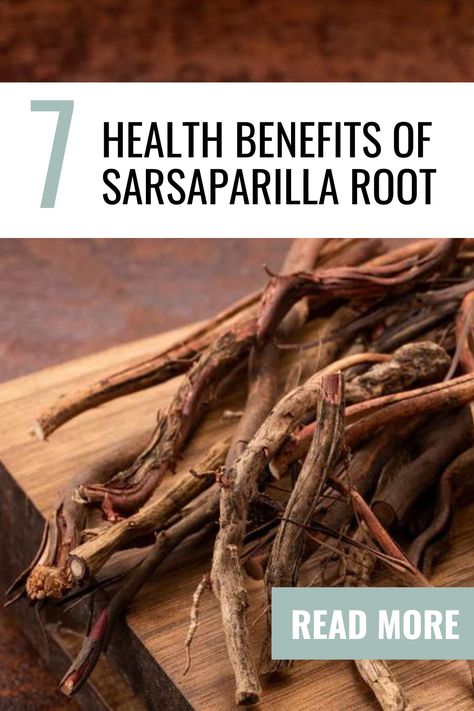 Sarsaparilla is a plant with a rich history of use in traditional medicine across various cultures. Known primarily for its beneficial root, sarsaparilla has carved a niche for itself as a potent herbal remedy. Sorrel Benefits, Benefits Of Sarsaparilla, Sarsaparilla Benefits, Sarsaparilla Root Benefits, Benefits Of Sorrel, Astragalus Root, Vegan Supplements, Women Supplements, Holistic Care