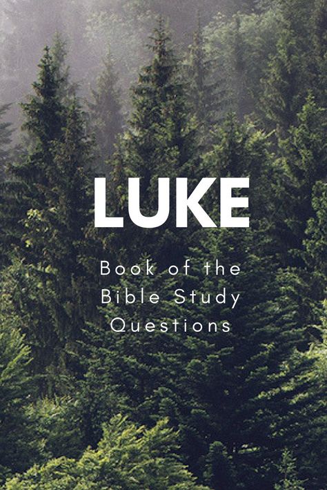 Book Of Luke, Bible Questions And Answers, Bible Study Questions, Teen Bible Study, Small Group Bible Studies, Story Of Jesus, Jesus Birth, Gospel Bible, Bible Studies For Beginners