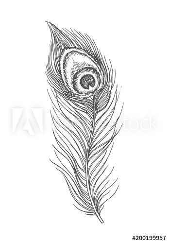 Peacock Feathers Sketch, Peacock Feather Black And White, Peacock Feather Pencil Drawing, Morpankh Sketch, Peackok Feather Drawing, Peacock Feather Tattoo Black And White, Flute With Peacock Feather Drawing, Morpankh Drawing, Peacock Feathers Drawing