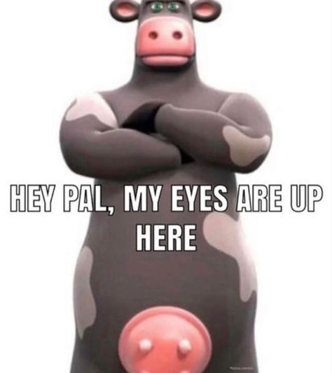 Cow Meme, My Eyes Are Up Here, Collage Creator, Alfa Alfa, Inappropriate Thoughts, Funny Pix, Baby Memes, Boyfriend Memes, Silly Images