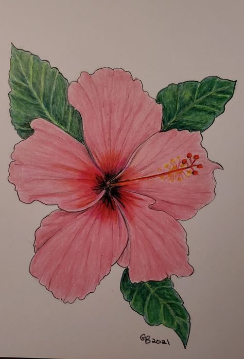 Flower Drawing Colourful, Colored Flower Drawing, Coloring Flowers With Markers, Colored Pencil Art Easy Ideas Flower, Flower Drawing Realistic Colored Pencils, Coloured Pencil Art Ideas, Colored Pencil Flowers Simple, Flower Drawings Color, Flower Drawing With Color Pencil