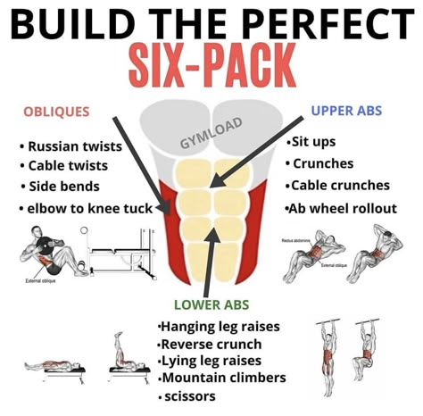 Six Pack Workout, Pack Workout, Gym Workout Guide, Gym Nutrition, Upper Abs, Sixpack Workout, Oblique Workout, Gym Workout Planner, Gym Workout Chart