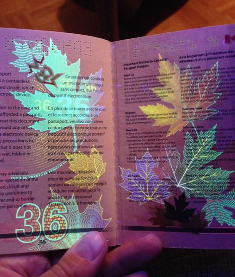 Canada's new passport looks incredible under a black light Canadian Passport, New Passport, Passport Card, Hidden Images, Passport Online, Fake Money, Light Images, Marriage Certificate, Secrets Revealed