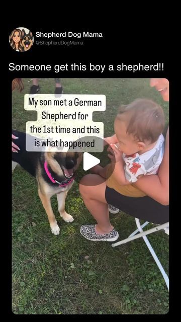 ShepherdDogMama on Instagram: "Should this boy have a German shepherd pup? 
@theceogoddess for video cred! Go follow her! I can’t even with these baby giggles 🥹🥰🐾 makes me think of my boy at this age💙 #gsd #germanshepherd #germanshepherdsofinstagram #germanshepherdpuppy #gsdpuppy #godmadeadog #dogsofinstagram #gsdlove #gsdlove #puppiesofinstagram #puppies #dogsandbabies" Mini German Shepherd, Miniature German Shepherd, Baby German Shepherds, Gsd Puppies, This Boy, Dogs And Kids, Dog Mama, My Boy, German Shepherd Puppies