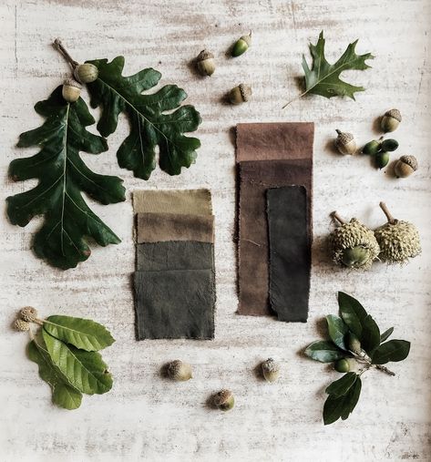 Acorn Dye, Leaf Dyeing, Ingredients Photography, Iron Water, Natural Dye Fabric, Eco Dyeing, Dye Fabric, Jamie Young, Botanical Dyeing