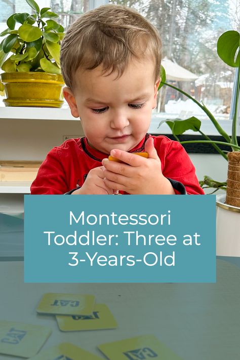 There are so many fun activities that you can try when using Montessori at home. We explore three easy, fun, and loved Montessori toddler activities for 3-year-olds. Montessori Three Year Old, Toddler Montessori Activities, Montessori Home, Montessori At Home, Family Child Care, Montessori Homeschool, Montessori Toddler Activities, Tot School, Montessori Toddler