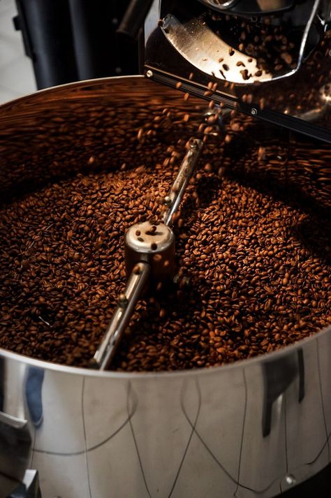 For wholesale inquiries please kindly contact brew@expatroasters.com Coffee Roasting Process, Starbucks Coffee Cups, Different Kinds Of Coffee, Coffee Process, Coffee Bean Roasters, Joe And The Juice, Costa Coffee, Coffee Shot, Coffee Roastery