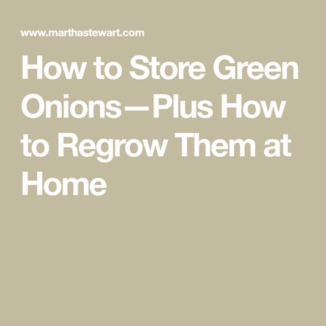 How to Store Green Onions—Plus How to Regrow Them at Home Store Green Onions, Regrow Green Onions, Produce Storage, Refrigerator Temperature, Large Glass Jars, Heavy Drinking, Sustainable Kitchen, Pickle Jars, How To Store