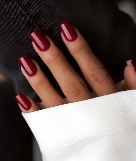 7 Of The Hottest Winter Nail Trends To Try in 2024! Mail Trends, Deep Red Nail Polish, Mail Colors, Winter Nail Trends, Sns Nails Designs, Deep Red Nails, Sophisticated Nails, Trendy Nail Polish, Nail Color Trends