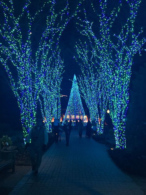 Holiday Lights at the Atlanta Botanical gardens. Botanical Garden Christmas Lights, Atlanta Botanical Gardens Christmas, Longwood Gardens Christmas, Atlanta Botanical Gardens, Fantasy Friends, Atlanta Botanical Garden, Longwood Gardens, Garden Christmas, Holiday Planning