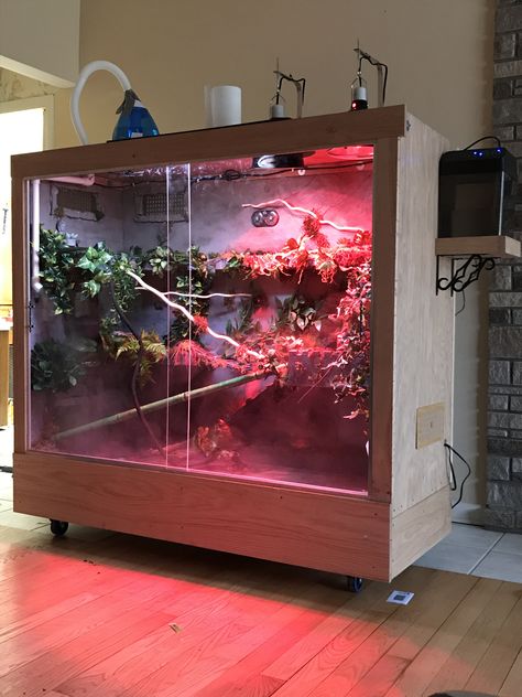 Chinese water dragon enclosure. Diy Chinese Water Dragon Enclosure, Iguana Aquarium Ideas, Asian Water Monitor Enclosure, Dumerils Boa Enclosure, Iguana Enclosure Ideas, Orchidarium Ideas, Water Dragon Pet, Chinese Water Dragon Enclosure, Water Dragon Enclosure