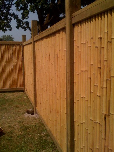 BAMBOO FENCES IN KINGSTON ONTARIO - by Jimmy Dean Bamboo Boundary Wall, Bamboo Fences, Modern Fences, Bamboo Privacy Fence, Bamboo Fencing, Wood Fencing, Bamboo Privacy, Garden Fences, Boundary Wall